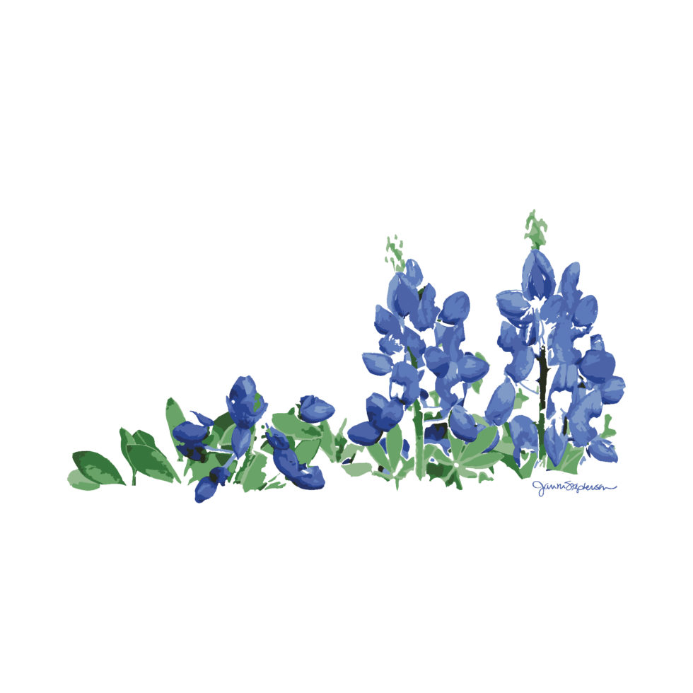 Texas bluebonnets in a watercolor style by Jan M. Stephenson. Click to purchase.